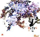 花鸟-紫藤
