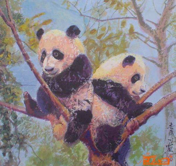 熊猫宝宝11