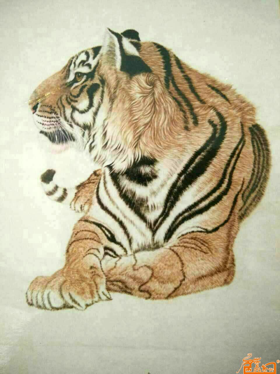 老虎1（已售）